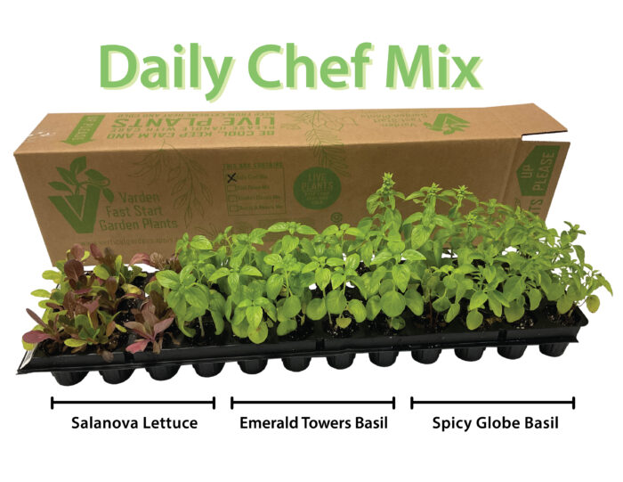 Varden fast Start Plants Daily Chef Mix with box they ship in