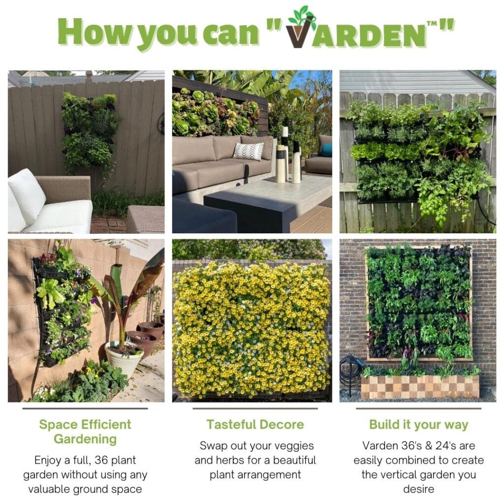 Showing many ways to vertical garden