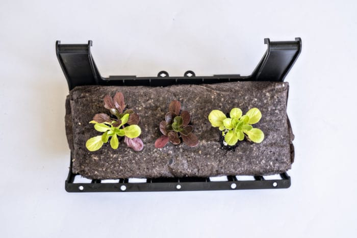 Varden tray with Ellepot Pouch and plants