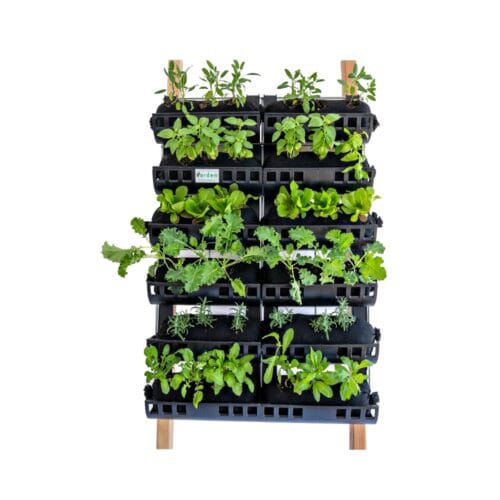 Varden Vertical Garden 36 - Self watering 6 row 36 plant wall mountable wall planter