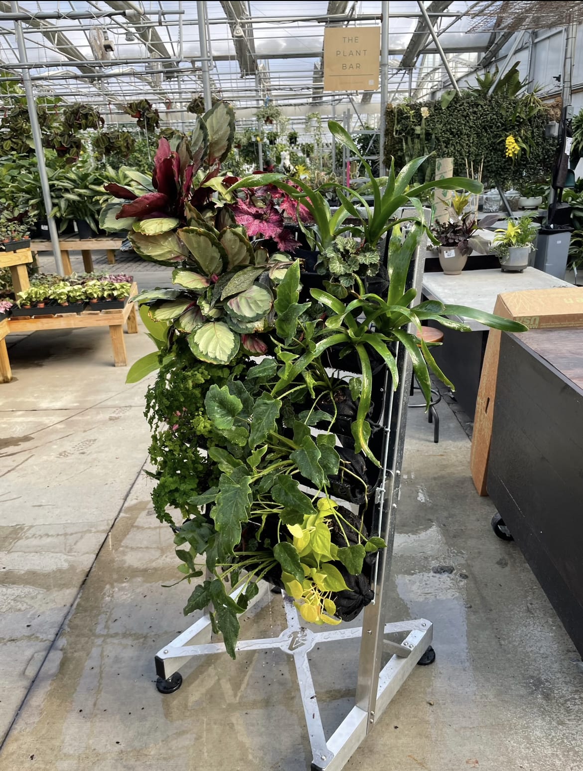Varden 36 unit planted with tropical plants and mounted on a vertical garden rack