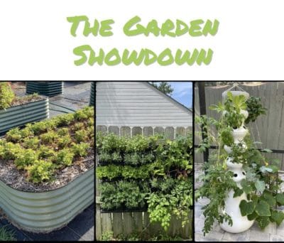 Vertical Gardens vs tower gardens and raised beds