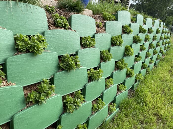 Nicely planted living retaining wall