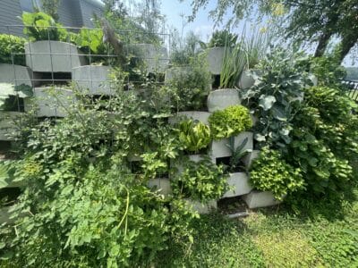 Grown-in garden retaining wall