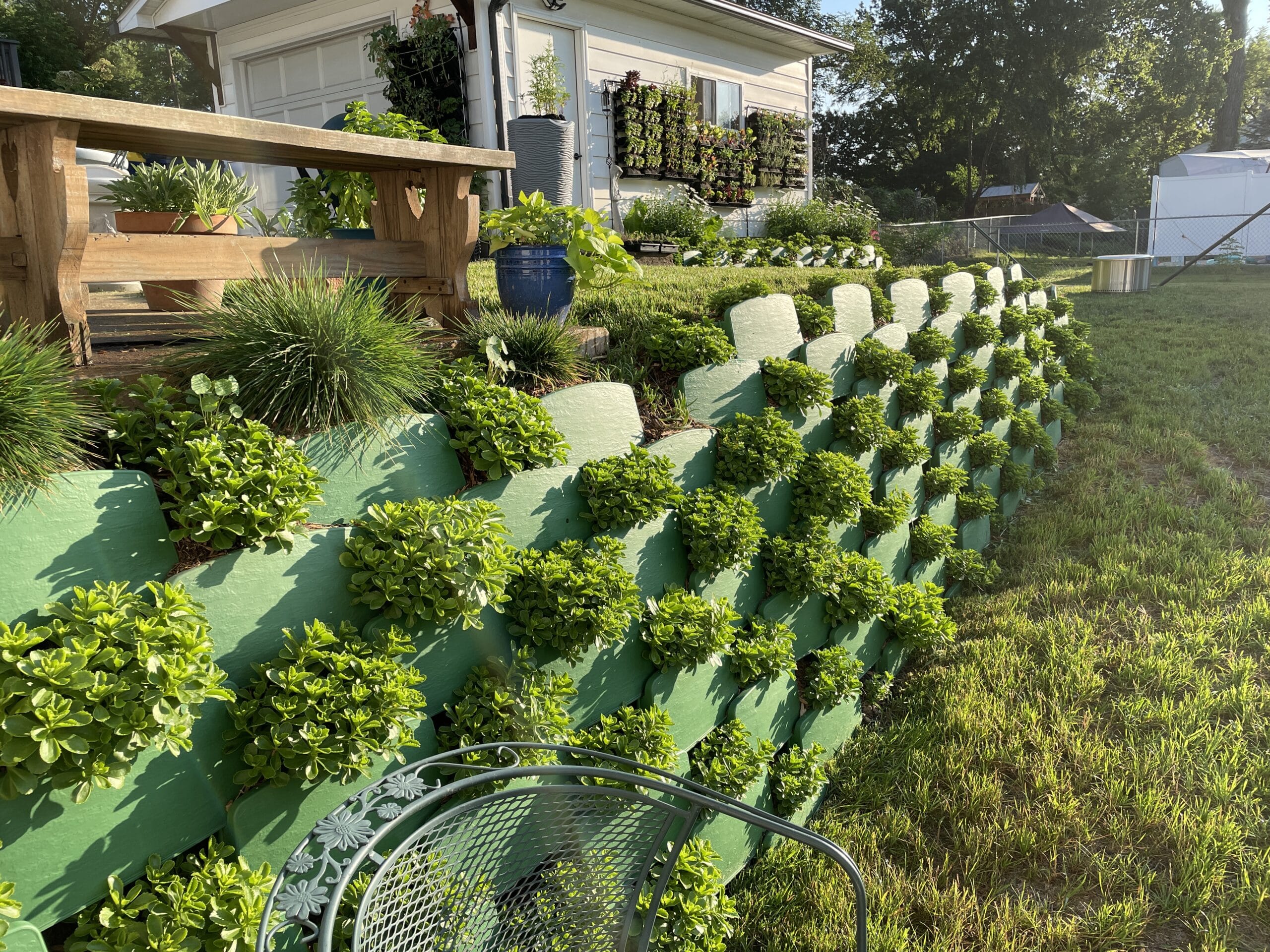 Vertical garden and living retaining wall backyard picture
