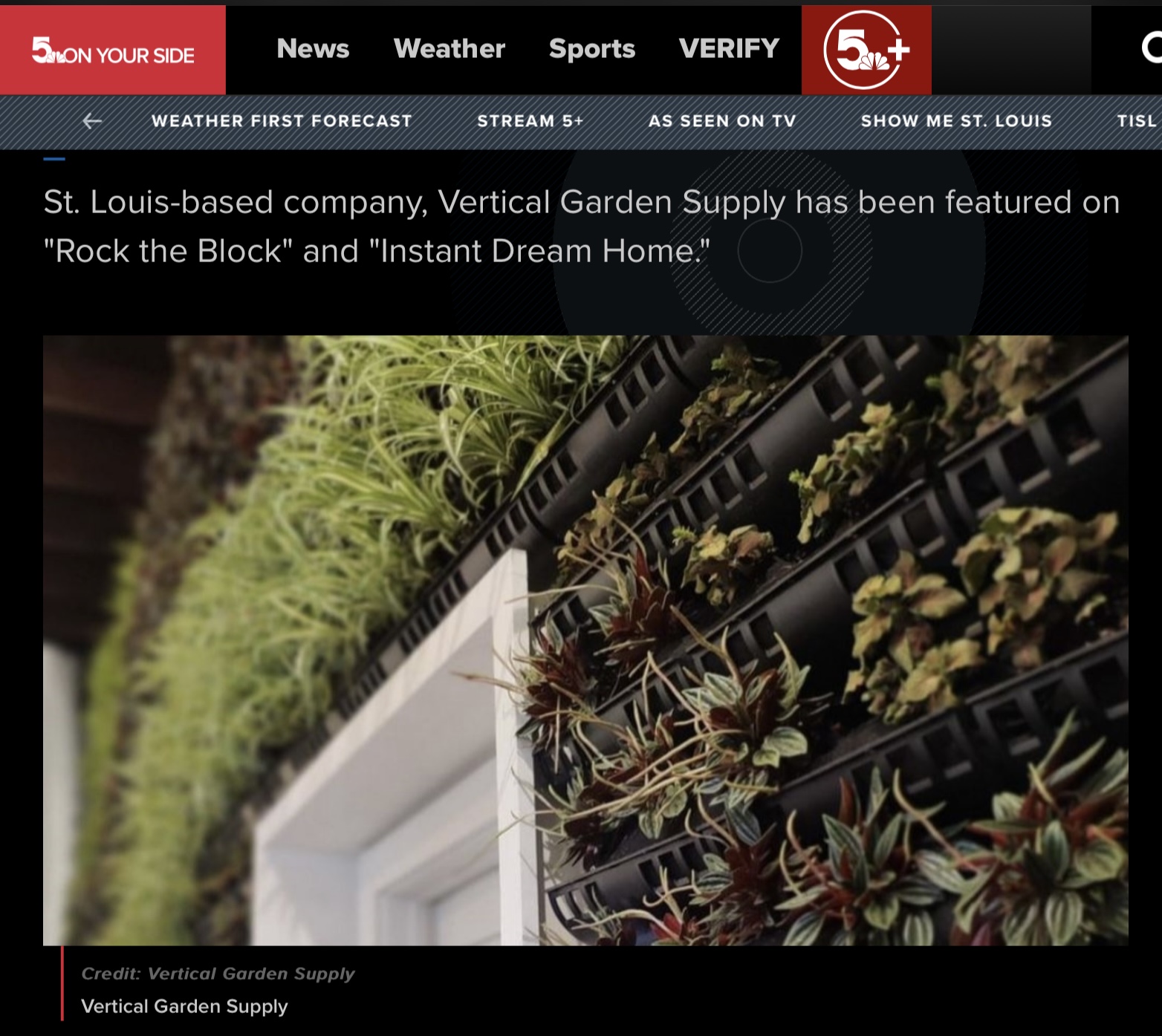 KSDK news story on Verdtech, Inc and Varden vertical gardens